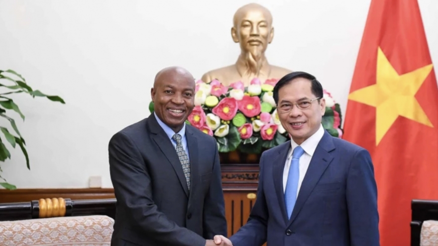 Deputy PM receives Tanzanian Deputy Foreign Minister